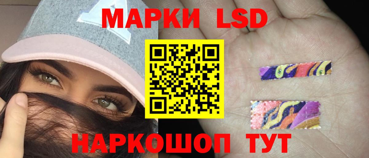 Галлюциногенные грибы Богданович