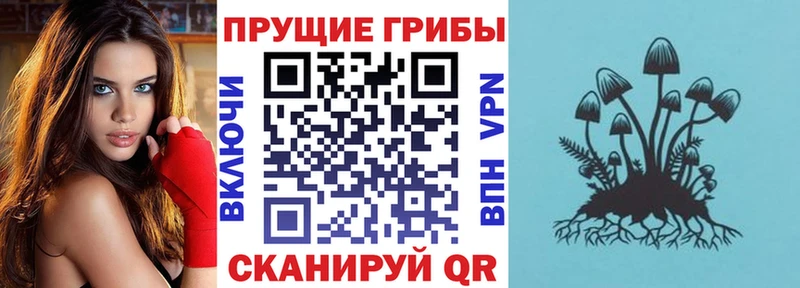 Псилоцибиновые грибы прущие грибы  Богданович 