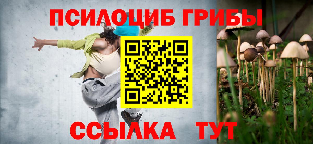 Псилоцибиновые грибы мухоморы  Галлюциногенные грибы Psilocybine cubensis  Вход с VPN  Богданович 
