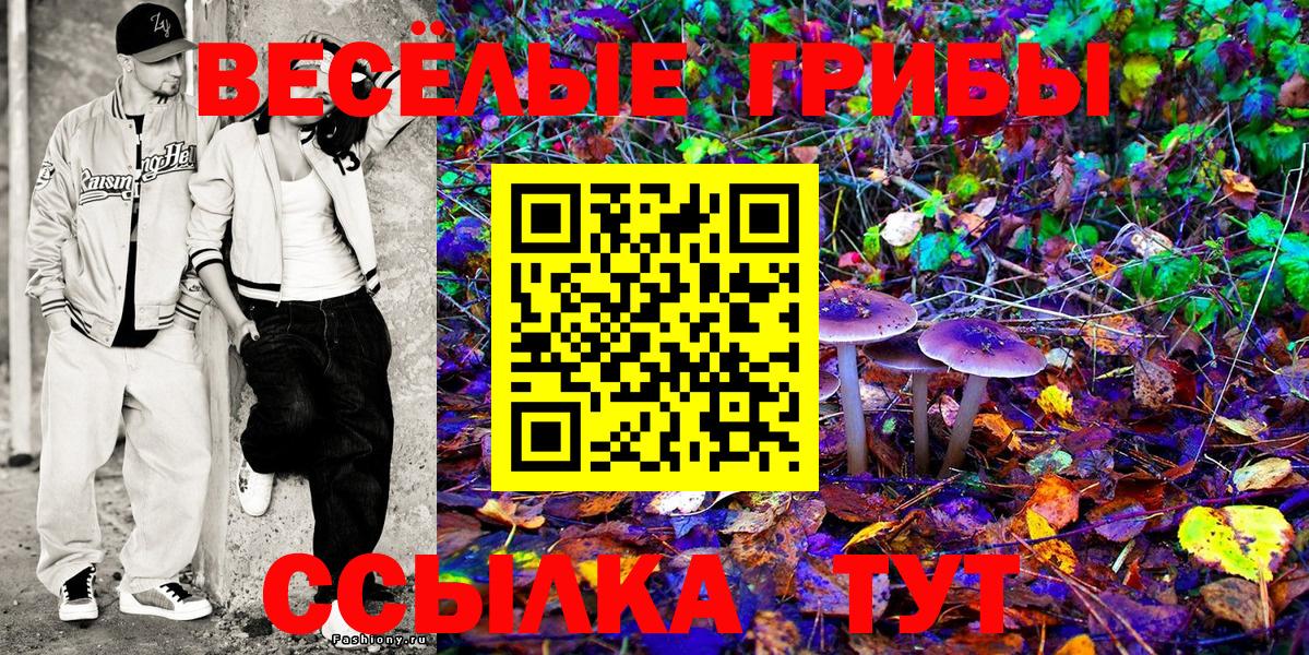 Псилоцибиновые грибы мухоморы  Богданович 